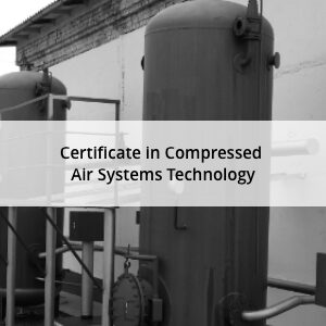 Certificate in Compressed Air Systems Technology - Associate Member