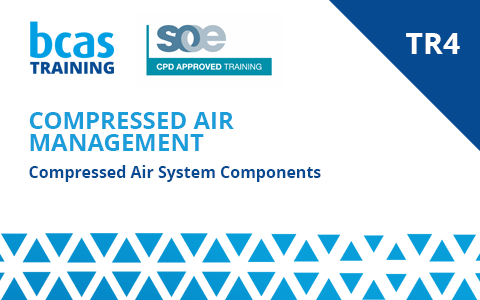 Compressed Air Management - The component of a Compressed air system (TR4-Multi) (Associate-Member Price)